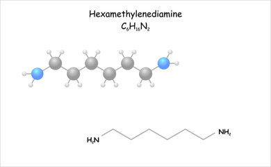 Stylized molecule model/structural formula of hexamethylenediamine.