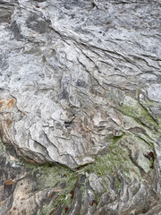 Stone rock boulder texture seaside landscape northern nature