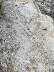 Stone rock boulder texture seaside landscape northern nature