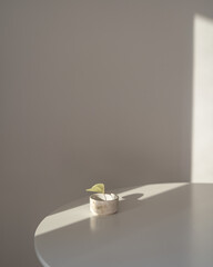 still life on the white table