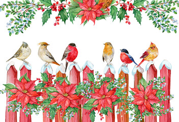 Christmas card winter birds ,Watercolor hand painting - 541900997