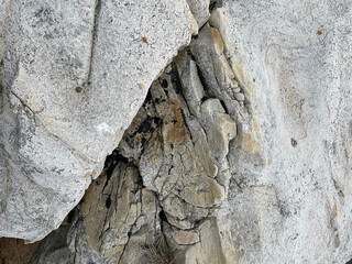 Stone rock boulder texture seaside landscape northern nature
