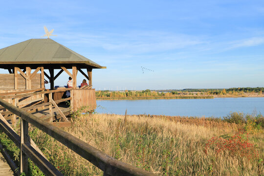 Mining successor landscape, renaturation, bird watching on Lake "Schlabendorfer See", Wanninchen - Luckau, Germany