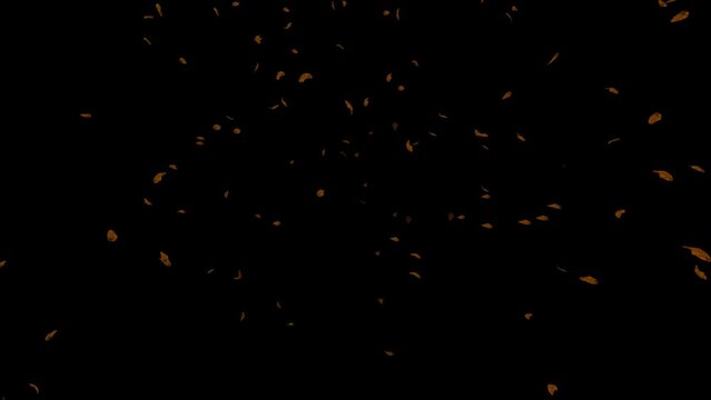 HQ 3D animated falling autumn leaves with alpha channel, perfectly looped.