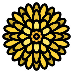 chrysanthemum flower