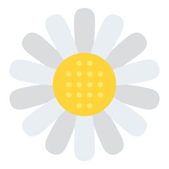 daisy flower