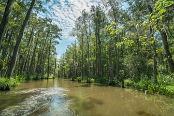 A stretch of the Old Pearl River near Slidell, Louisiana