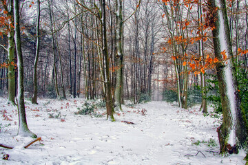 Première neige