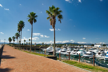 Palm tree beach with blue sky and yacht