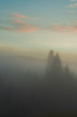 foggy cloudy morning sunrise in the mountains, forest, high mountain village in blue and pink colors