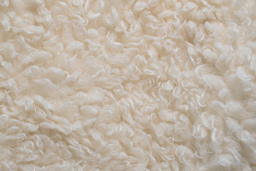 Sheep fur. Wool texture. Closeup background