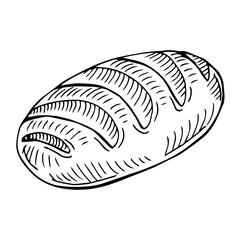 Bread vector drawing. Bakery product sketch. Vintage food illustration for shop, bread house label, menu or packaging design.