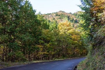 日本の岡山県と鳥取県に跨る三平山の美しい紅葉