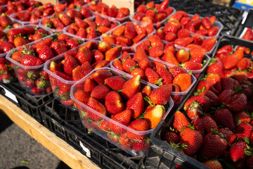 Fresh red strawberries in the bazaar close-up