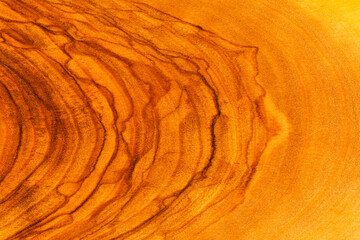 Wood texture with annual rings