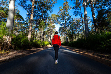 Obraz premium A lonely girl walks along a road in the middle of an Australian forest with huge trees; a girl lost in a mysterious forest in western australia