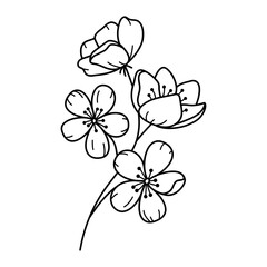 Doodle hand drawn flowers branch. Line art botanical floral design element