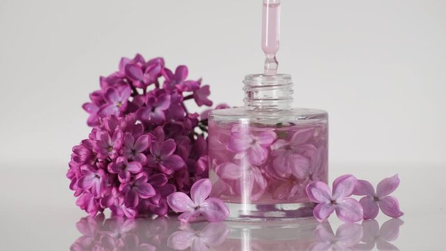Floral perfume with the scent of lilac. Perfumery. Oil essence with lilac flowers. Production of perfumes in laboratory. Drops of essential oil from cosmetic pipette fall into perfume slow motion
