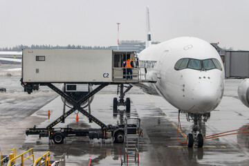 Workers load carts to an airliner at the winter Airport