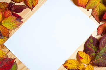 Naklejka na ściany i meble A white sheet of paper surrounded by bright autumn tree leaves lying on a wooden surface.