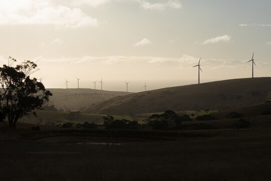 Silhouetted row of wind turbines on a hill in a paddock
