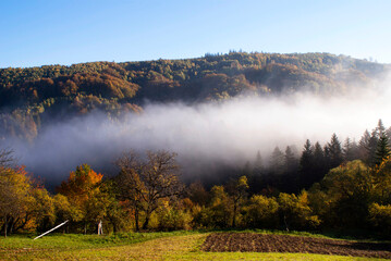 Clouds descending down the valley with a stream of wind in the morning in the forests of the Ukrainian Carpathians