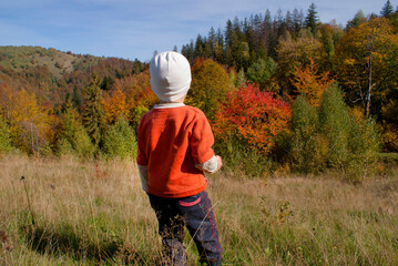 A little boy in an orange sweater and a white cap admires the autumn forest of the Ukrainian Carpathians