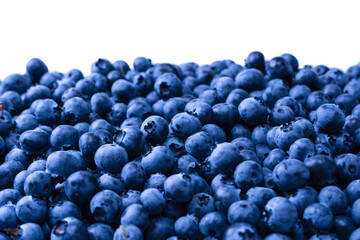 Fresh blueberry background isolated on white.