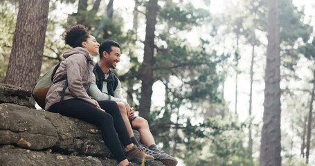 Nature, hiking and a couple relax on adventure trail in forest and sitting on a rock. Health, happy man and woman pointing at natural landscape while relaxing in woods with trees, fitness and freedom - Powered by Adobe