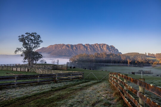 Foggy morning view of Mt Roland with fences, stockyards and paddocks in foreground