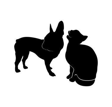 Silhouette of a dog and a cat. French bulldog and cat. Isolated on white background.