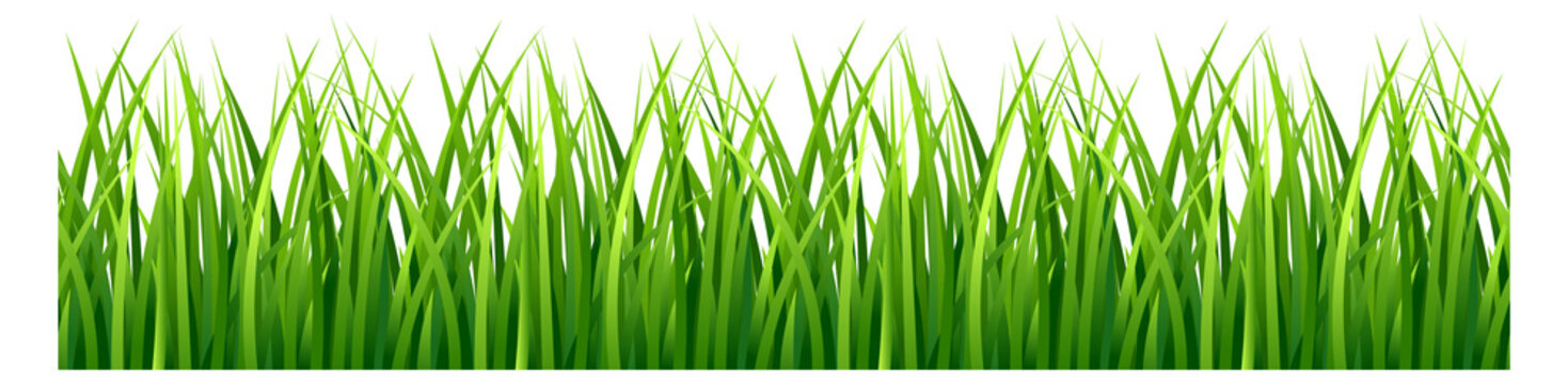 Grass Png Images – Browse 66,595 Stock Photos, Vectors, and Video | Adobe  Stock