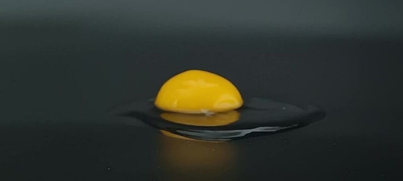 The yolk and white from a raw egg fall on a black plane.