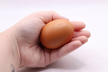 hand holding egg