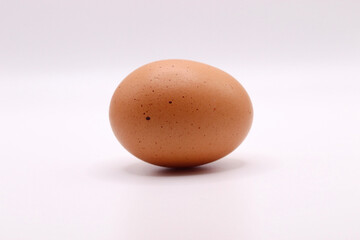 egg on white background