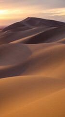 Dunes of Gobi desert in sunset light in Mongolia