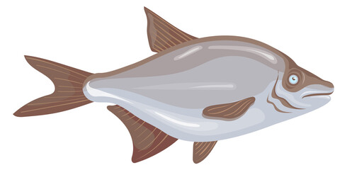 Bream icon. Cartoon silver fish. Fishing catch