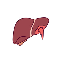 Parenchymal bleeding from liver color line icon. Injuries concept.