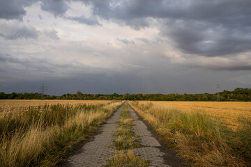 Fototapeta na wymiar landscape with a road