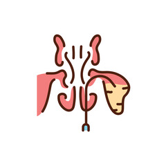 Treatment of sinusitis color line icon. Pictogram for web page