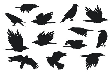 Fototapeta premium Crow silhouette. Group of flying ravens with feathers beak claw, creative black gothic rook birds for Halloween decoration. Vector isolated set