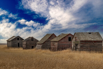 Fototapeta premium Rustic building on the prairies Vulcan County Alberta Canada