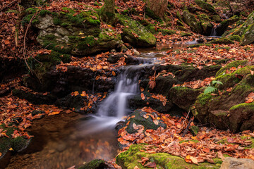 waterfall in autumn