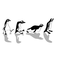 Cute black and white picture with penguins walking on the ice. A simple image of penguin silhouettes.