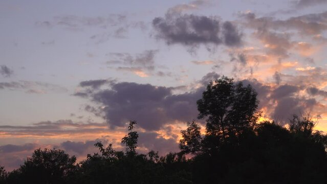 Dark silhouettes of trees ea against the background of an orange sky and clouds.
