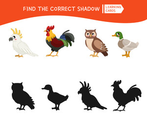 Educational  game for children. Find the right shadow. Kids activity with cute cartoon birds.
