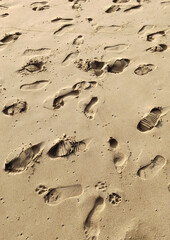 footprints in the sand
