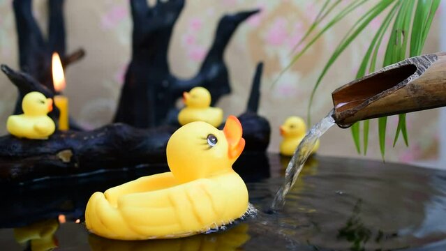Water flowing pipes bamboo gutter yellow rubber duck black stump background