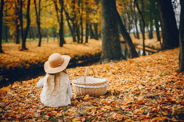 Cute little girl in a autumn park