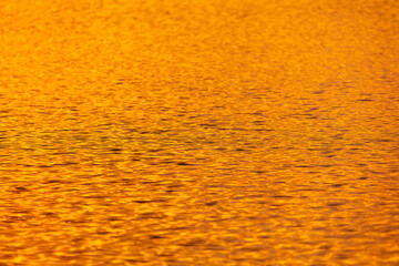 Golden expanse of water at sunset.